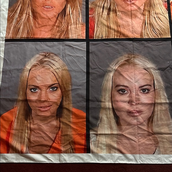 Lindsay Lohan Celebrity Mugshot Collage Tapestry - Picture 3 of 5